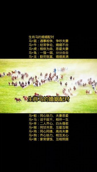 与马属相相合的生肖（和马最合的3个生肖配对）