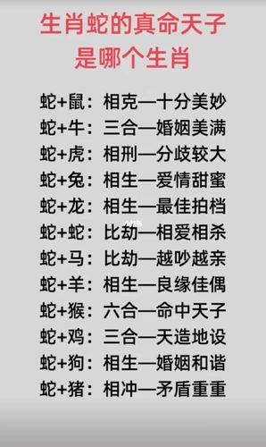 蛇生肖配什么属相（蛇生肖配什么属相最好最般配）