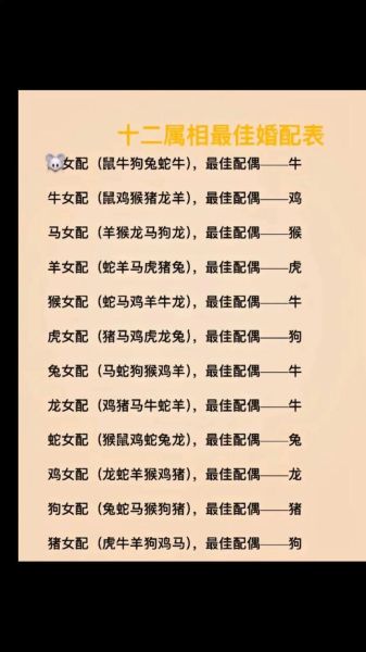 九六属于哪个生肖属相(96年生人属什么生肖)