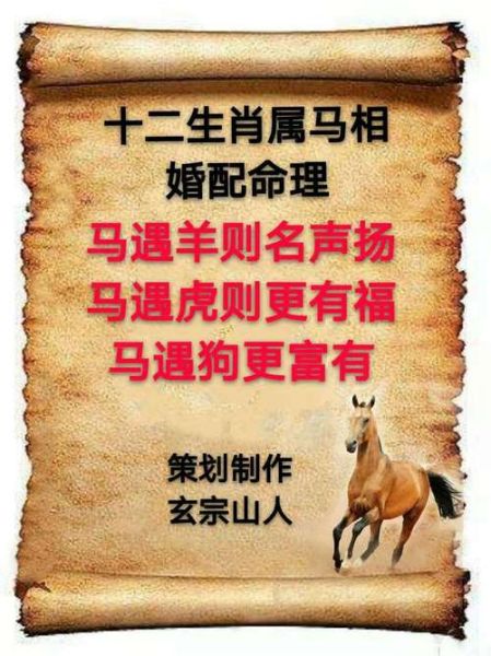 生肖马最佳属相配对（生肖马最配什么生肖）