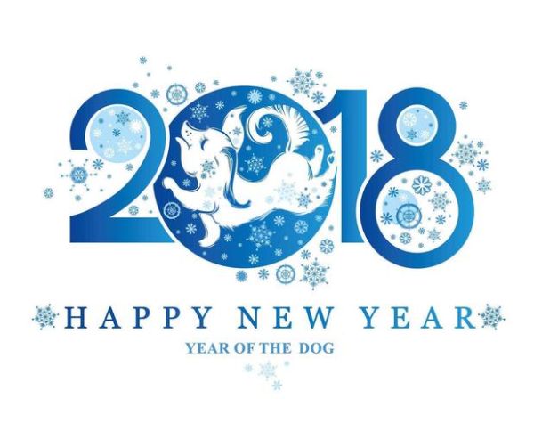 91属什么生肖属相（91年属什么生肖？新手一看就懂）