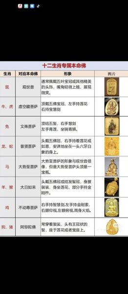 生肖属相守护佛（属猪的本命佛是什么菩萨？）