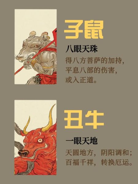 眼睛生肖属相（眼睛属相怎么推算）