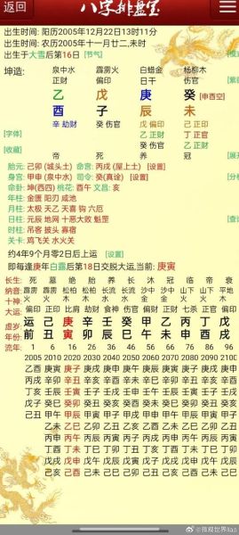 丙戌对应什么生肖属相（丙戌出生属什么生肖？）