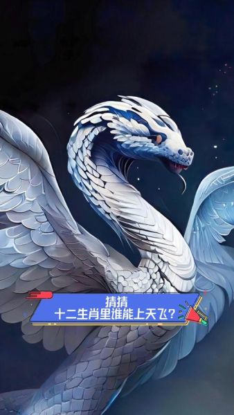 阿飞属什么生肖属相（阿飞属啥生肖？小白秒懂版🐉）