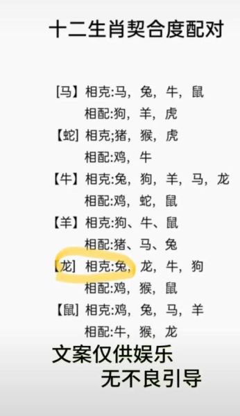 龙年跟什么生肖属相（龙年不能配哪些生肖❓配对新手指南）