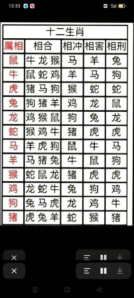 生肖配对是什么属相(生肖配对是什么属相查询表)