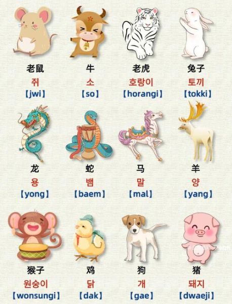 韩国生肖属相是什么（韩国生肖是猫还是老虎？真相来了）