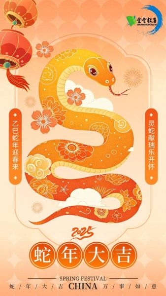 乙巳年是什么生肖属相（乙巳年属什么生肖详解 🐍）