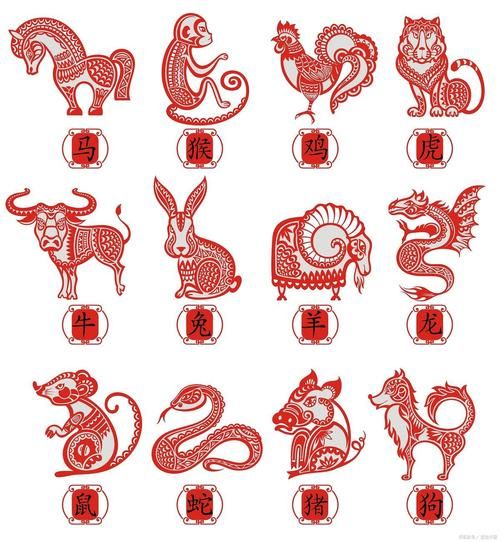 廿六属什么生肖属相呢(廿六到底属什么生肖快速看懂)