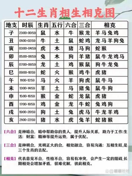 十二生肖属相命运解释（十二生肖命运分析准不准）