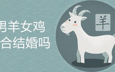 鸡羊生肖属相（鸡羊生肖合不合婚）