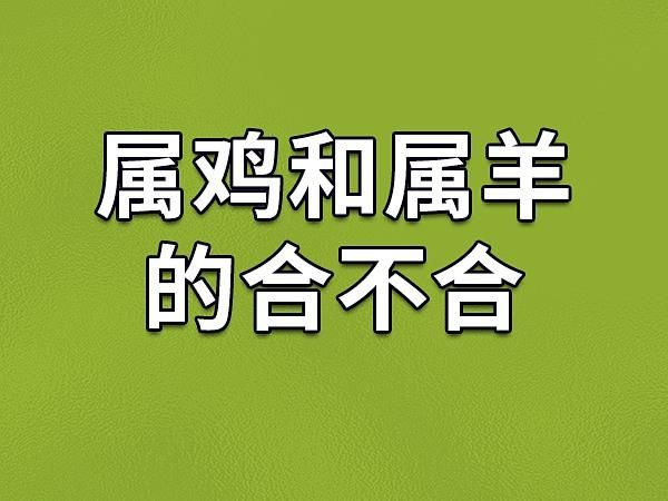 鸡羊生肖属相（鸡羊生肖合不合婚）