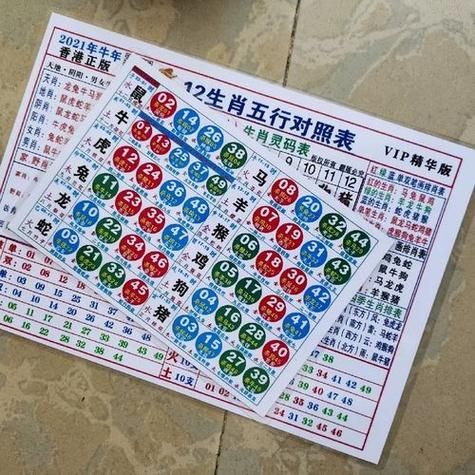 49虚岁属什么生肖属相（49虚岁属什么生肖）