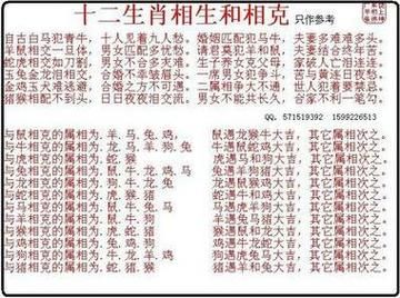 生肖狗忌什么属相（生肖狗忌与龙、鸡、羊配对）