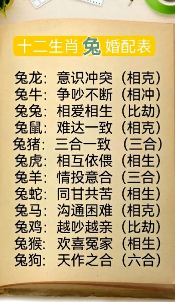 生肖兔适合的配偶属相（生肖兔最佳配偶属相排行）