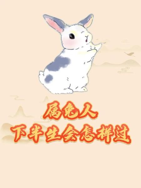 适合创业的伴侣生肖属相（属兔的人适合创业伴侣吗）