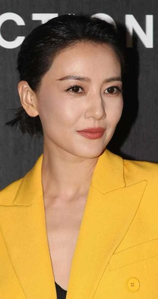 高圆圆属相什么生肖啊（高圆圆属什么生肖？）