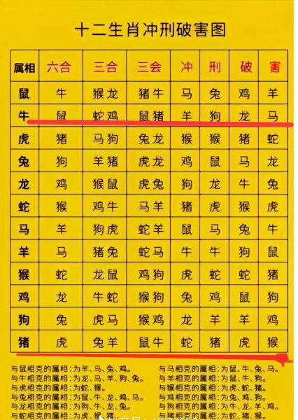 鼠牛属相不合的生肖（鼠牛属相合不合）