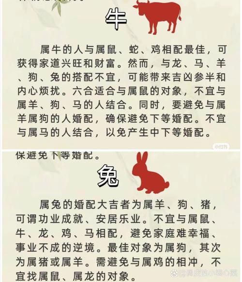 鼠牛属相不合的生肖（鼠牛属相合不合）