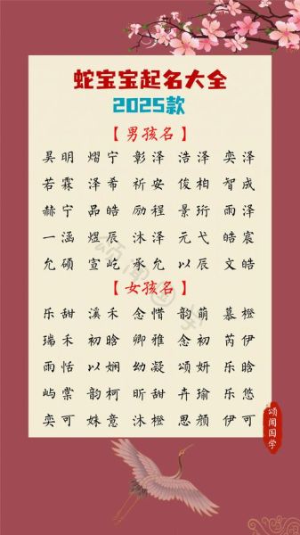 生肖属相年份五行（2024出生属啥五行属火的蛇宝宝？）