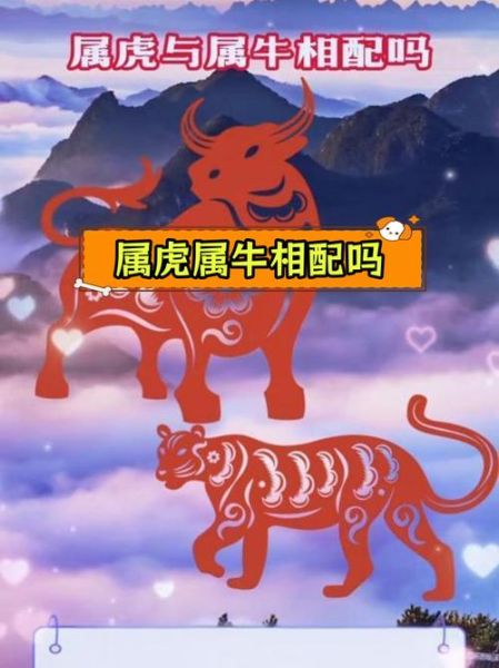 生肖虎和属相牛（属虎和属牛合不合）