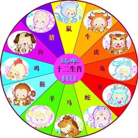 2017属相是什么生肖（2017年出生属什么生肖？👶）