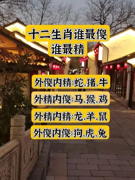 最装傻的生肖属相（最装傻的生肖属相排名TOP3）