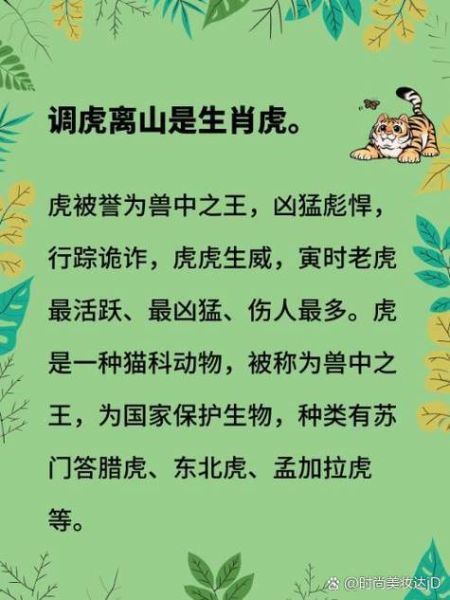 虎后面的生肖有哪些属相