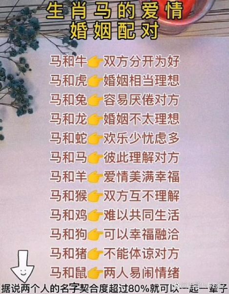 马生肖最佳配偶属相（属马的最佳配偶属相是谁）