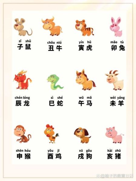 地支属相生肖（地支属相生肖对照表速查）