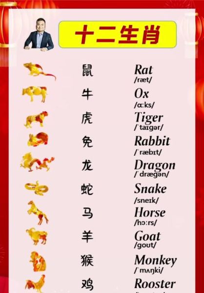 生肖属相英语作业（生肖属相英语作业怎么写）