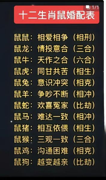 鼠生肖配对属相婚配（鼠生肖最配婚姻属相是谁）