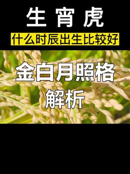 生肖虎时辰属相（属虎的什么时辰出生最好）