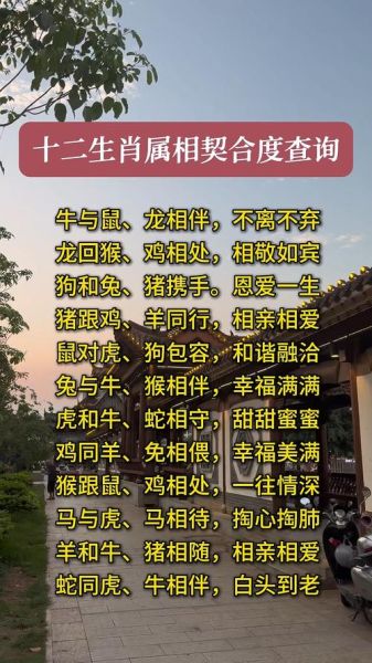 生肖属相相合查询（生肖属相相合查询怎么看）