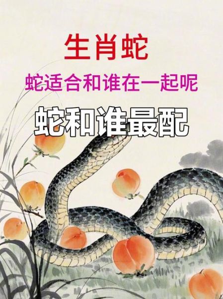 蛇狗属于什么生肖属相