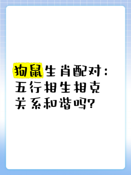生肖鼠和狗搭配什么属相（鼠狗婚配宜忌最佳属相揭秘）