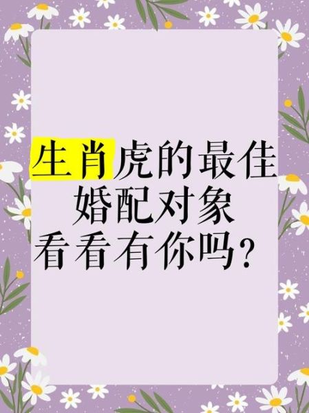 生肖虎的最佳配偶属相