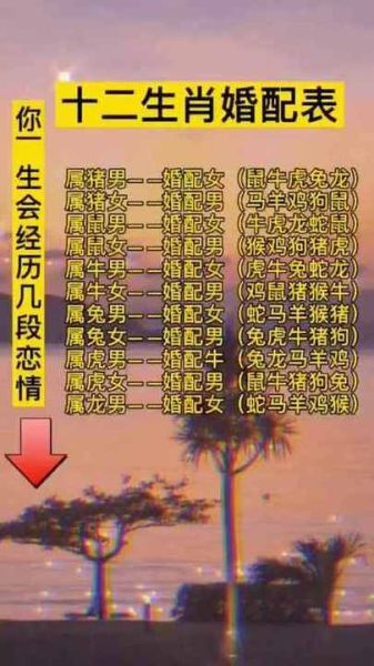 生肖龙最佳属相婚配（生肖龙最佳婚配属相配对表）