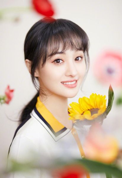 郑爽属什么生肖属相（郑爽属什么生肖？1991年属羊🐑）