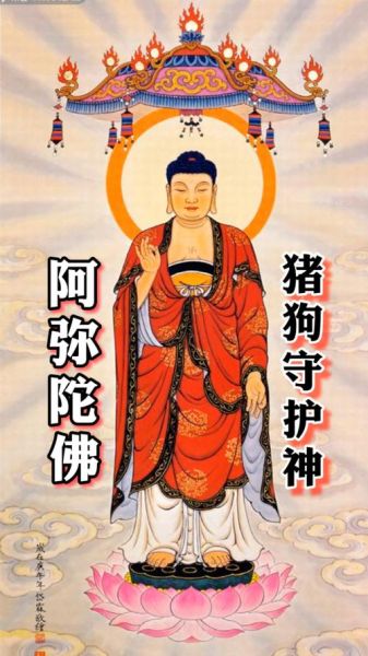 猪属相生肖佛（猪的本命佛是哪尊？新手一看就懂🐷✨）