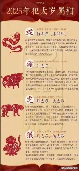 宋光宗属什么生肖属相