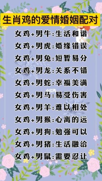 生肖配对最佳属相（生肖配对表属相婚配最佳搭配指南）