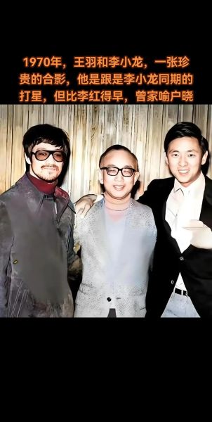 王羽什么生肖属相（王羽生肖属相查询）