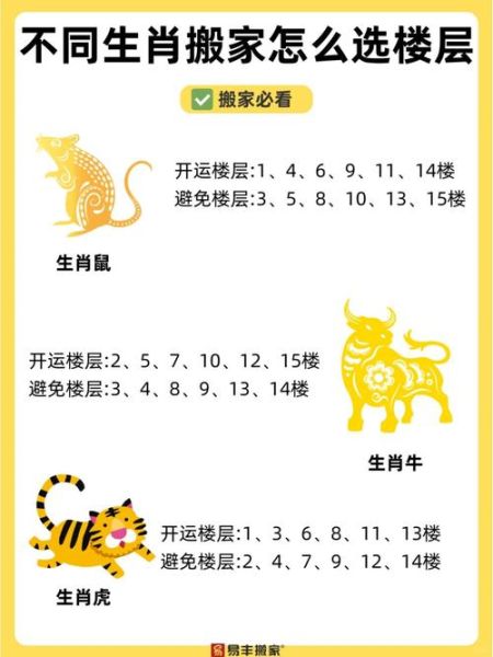 生肖属相趣味研究题目（生肖属相怎么分年份最实用指南）