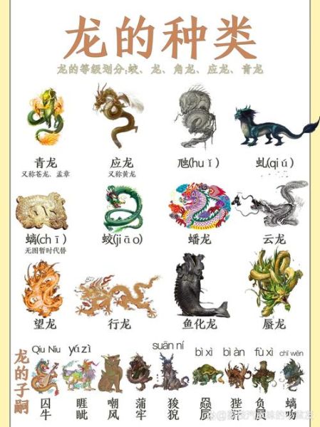 龙少爷什么生肖属相（龙少爷生肖属相是什么）