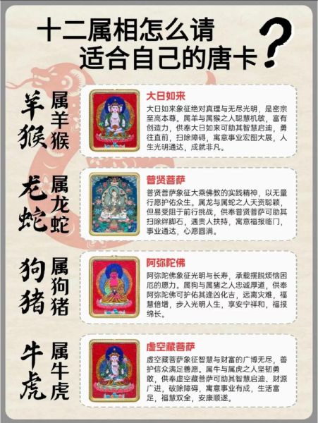 生肖卡改不了属相怎么办（生肖卡改不了属相怎么办？）