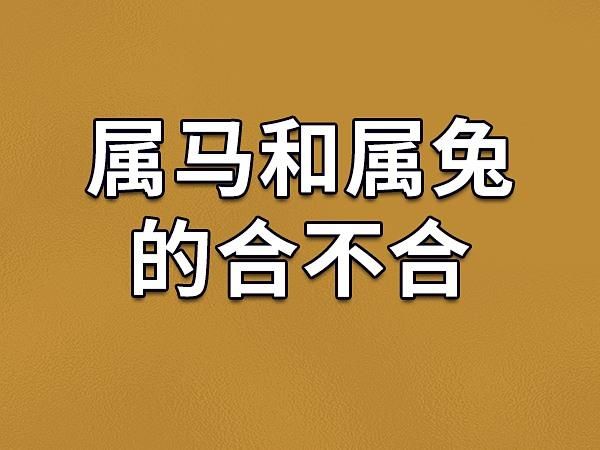 生肖属相兔与马（属兔和属马的合不合婚）
