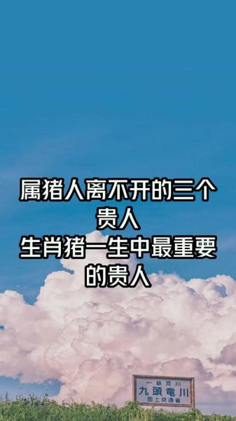 生肖猪的三大贵人属相（属猪三大贵人属相是什么）