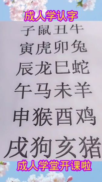 生肖属相的读音（生肖属相拼音怎么读）